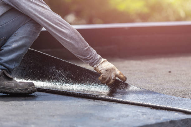 Professional Interior Drainage System technician working in Ashley, IN